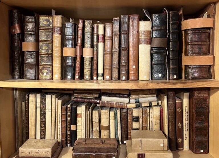 The Serlupiana Project: Integrating and Presenting a Unique Book Collection